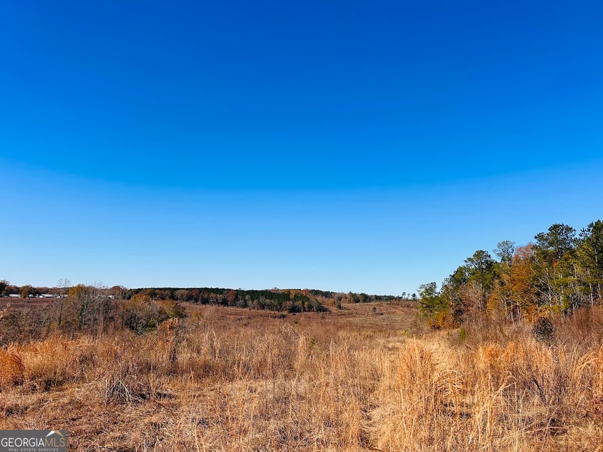 0 Jaye Road, Rupert GA 31081