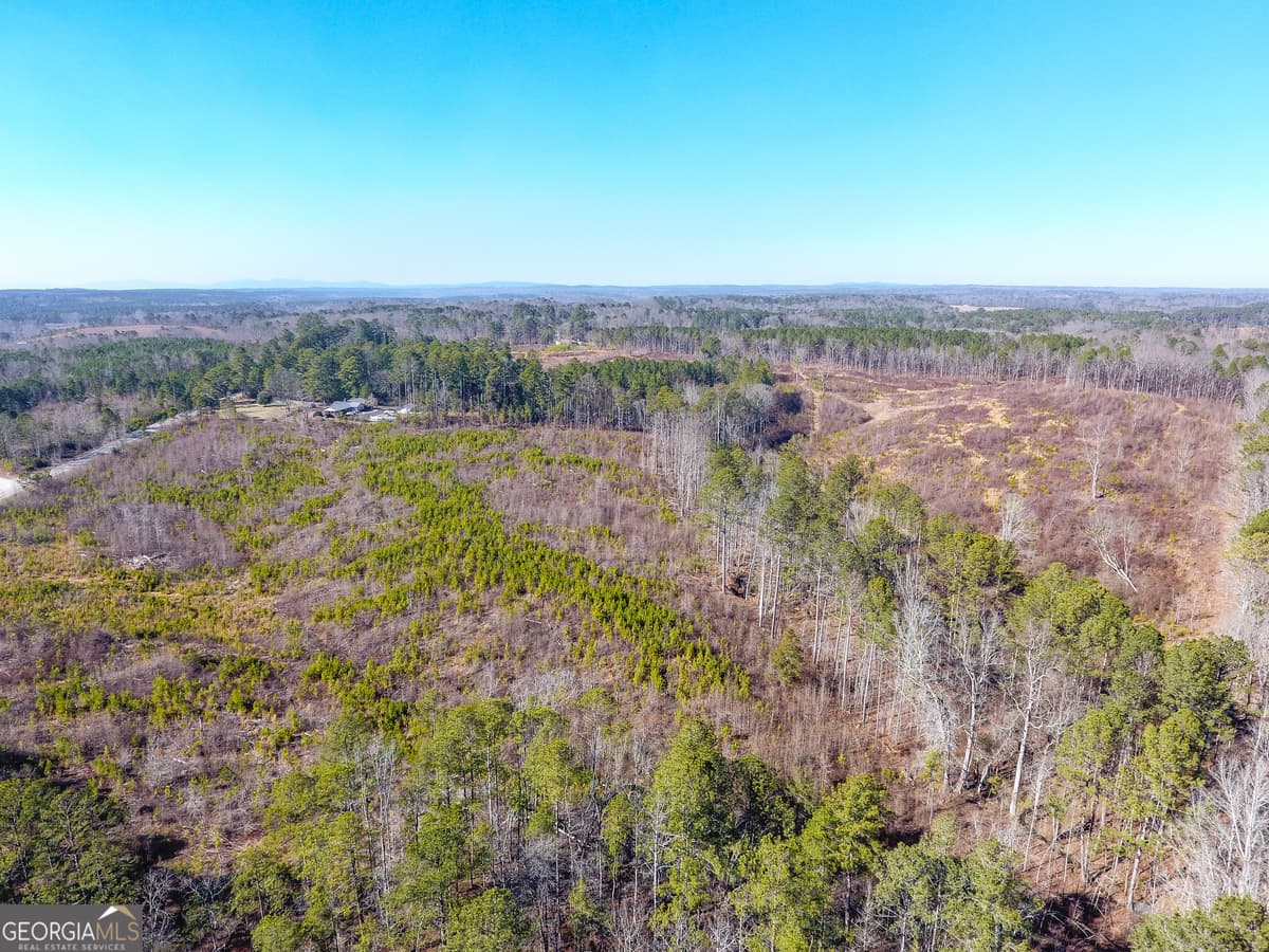 0 Steadman Road, Tallapoosa GA 30176