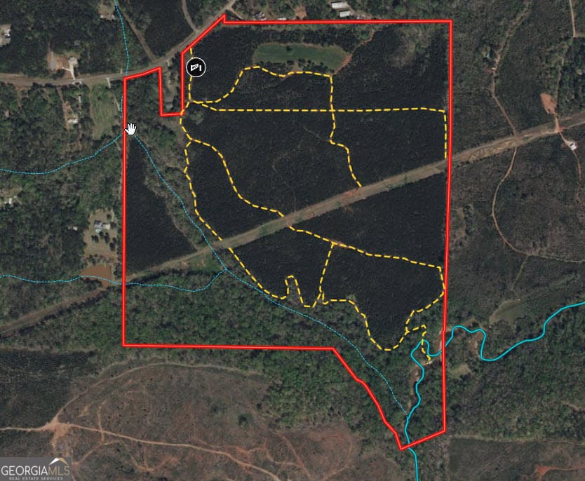 180.14 AC Johnson Mill Road, Hamilton GA 31811