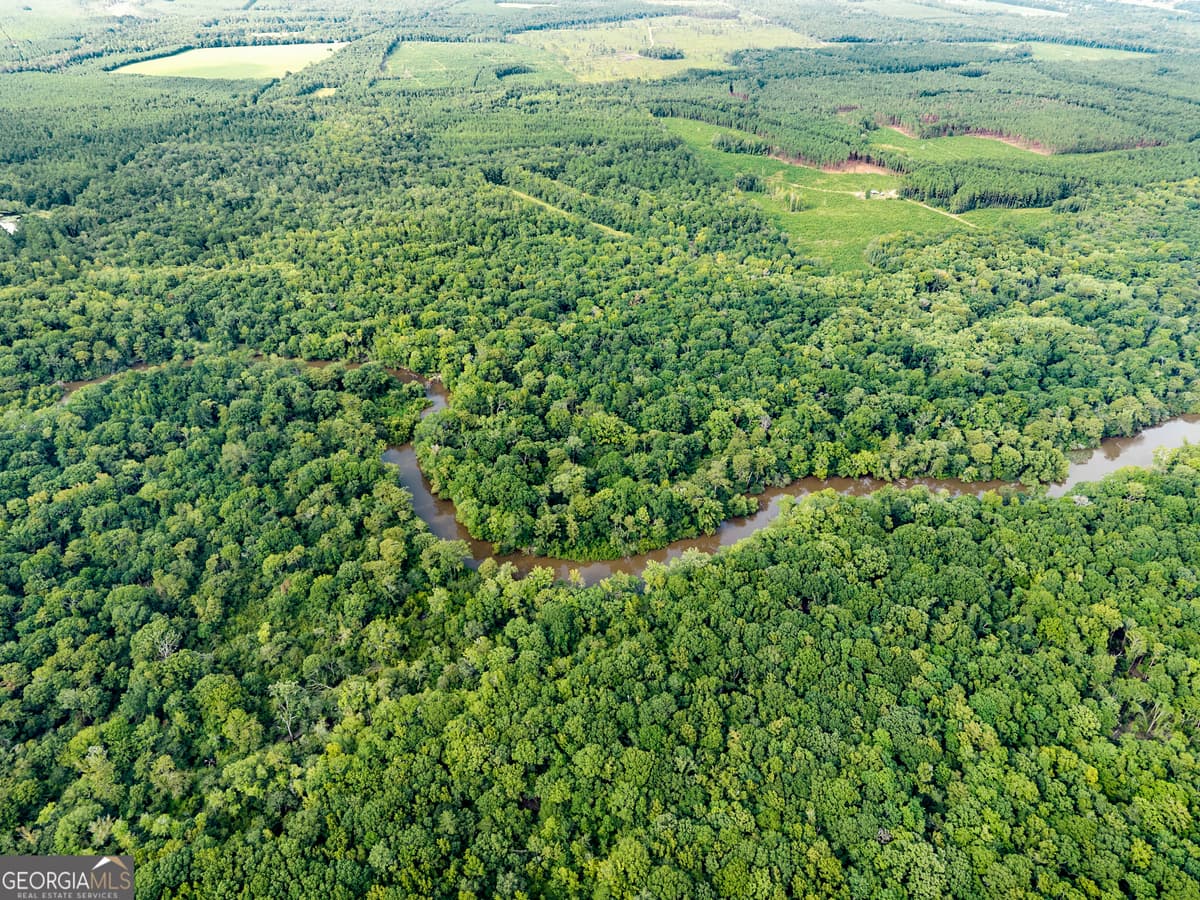 232 ACRES Old River Road N, Statesboro GA 30461