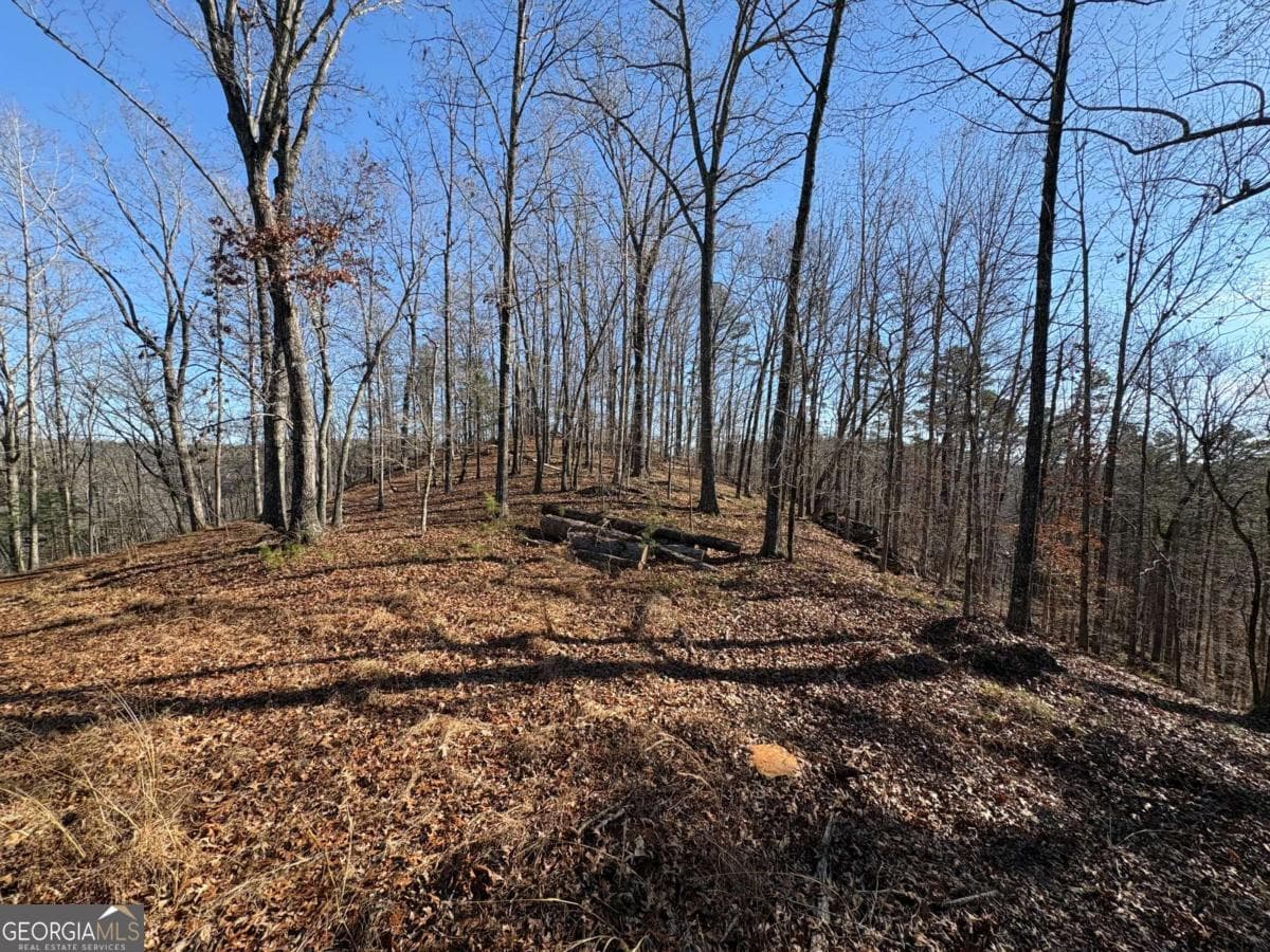 0 Lawrence Road, Dawsonville GA 30534