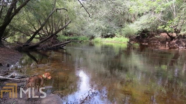 0 Area Line Road, Claxton GA 30417
