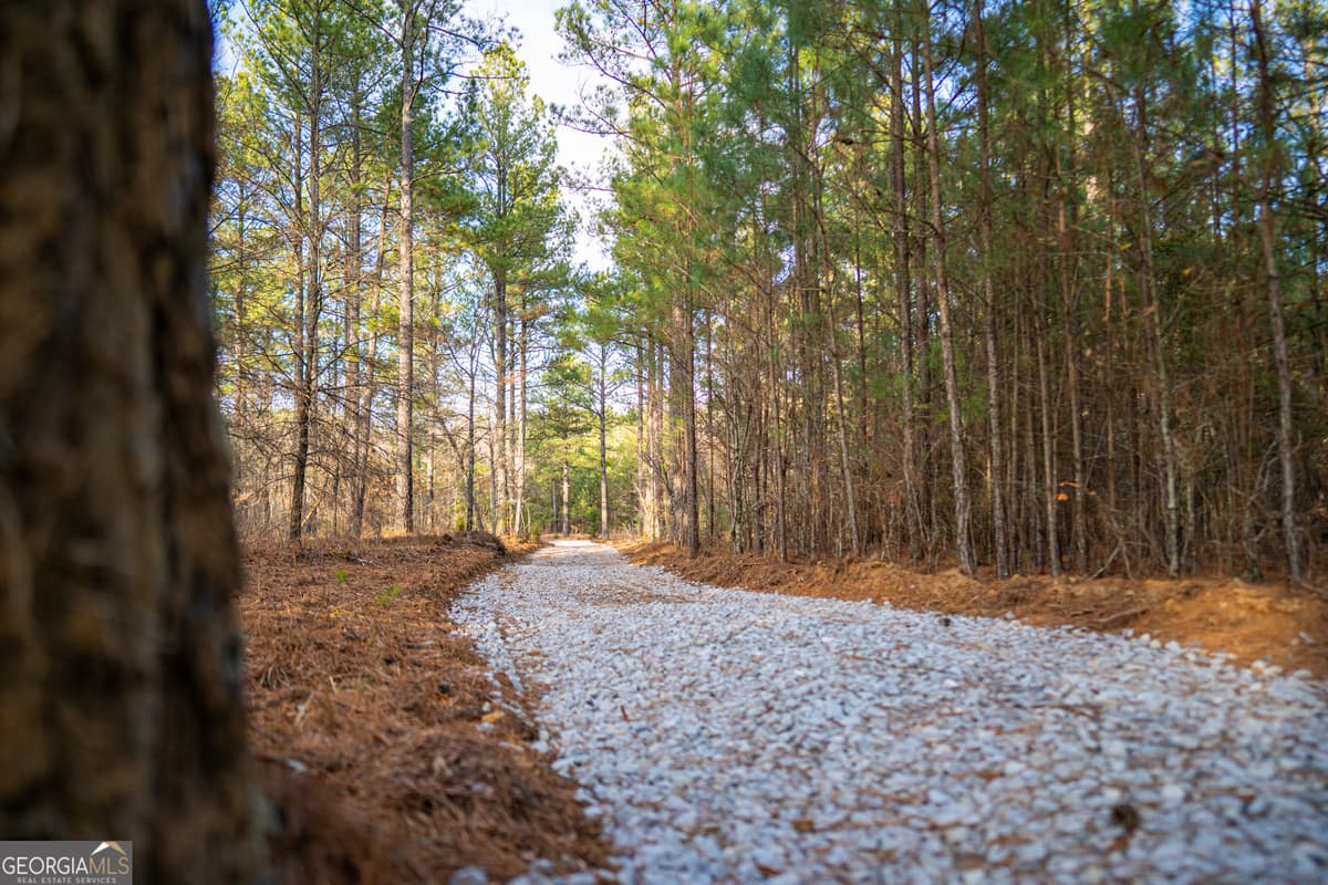3 Smith Rocky Branch Road, Carlton GA 30627