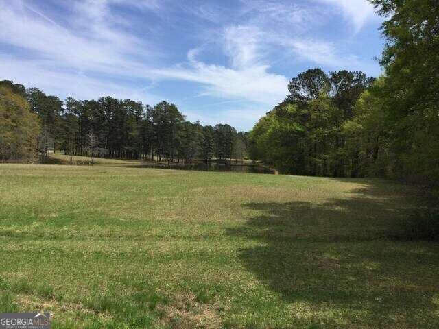 1305 & 1307 Hwy 54 Highway E, Fayetteville GA 30214