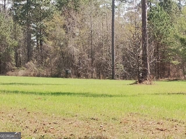 0 Old Copelan Road, Eatonton GA 31024