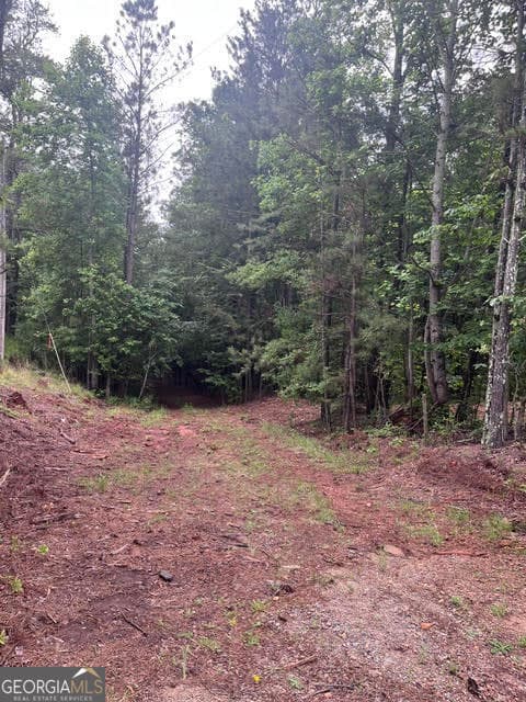 0 Dobbs Mountain Road, Winston GA 30187