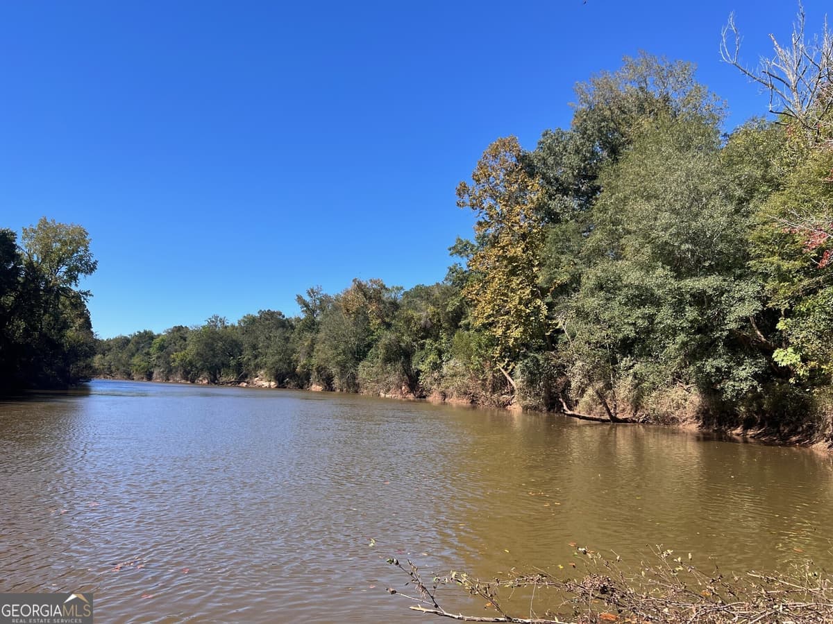 0 Charles Reeves Road, Roberta GA 31078
