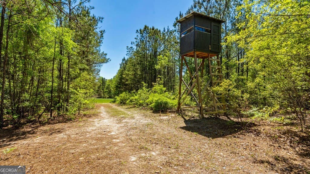 0 Wainwright Road, Butler GA 31006
