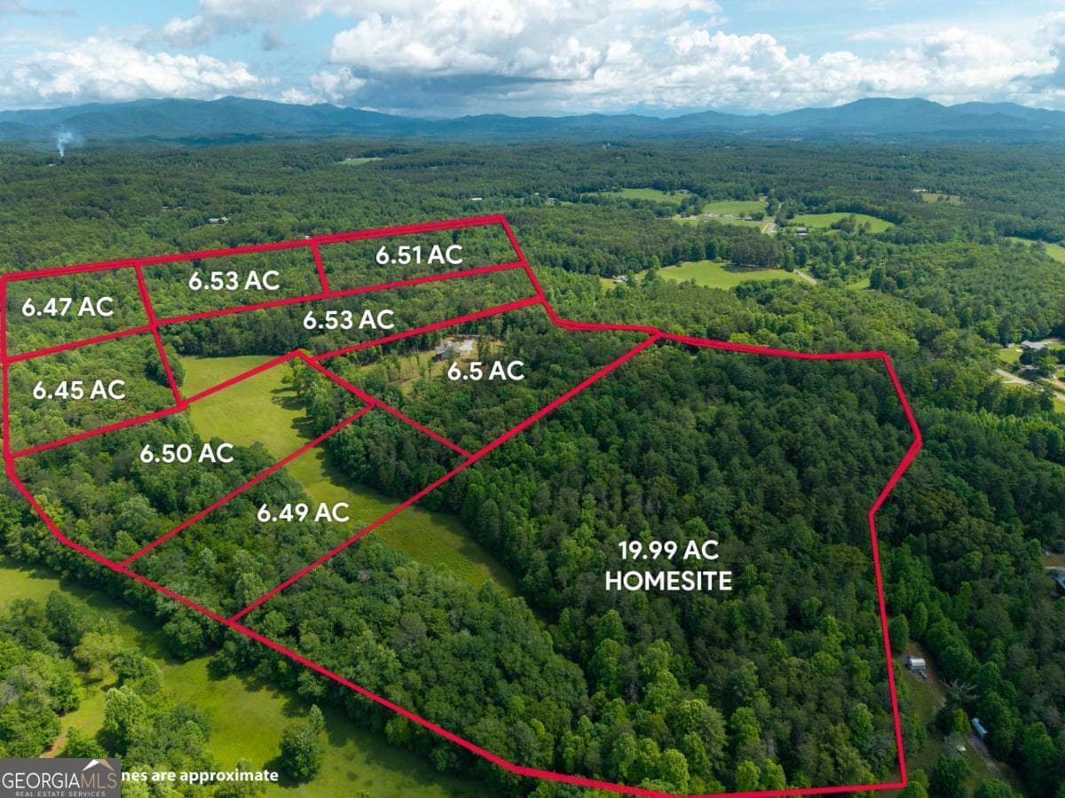 5664 Mobile Road, Blue Ridge GA 30513