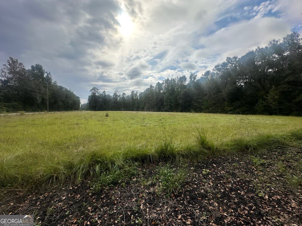 0 Lowground Road, Guyton GA 31312