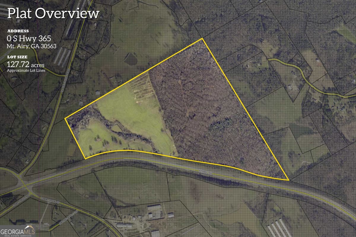 127 ACRES HWY 3 Sthighway 365, Mount Airy GA 30563