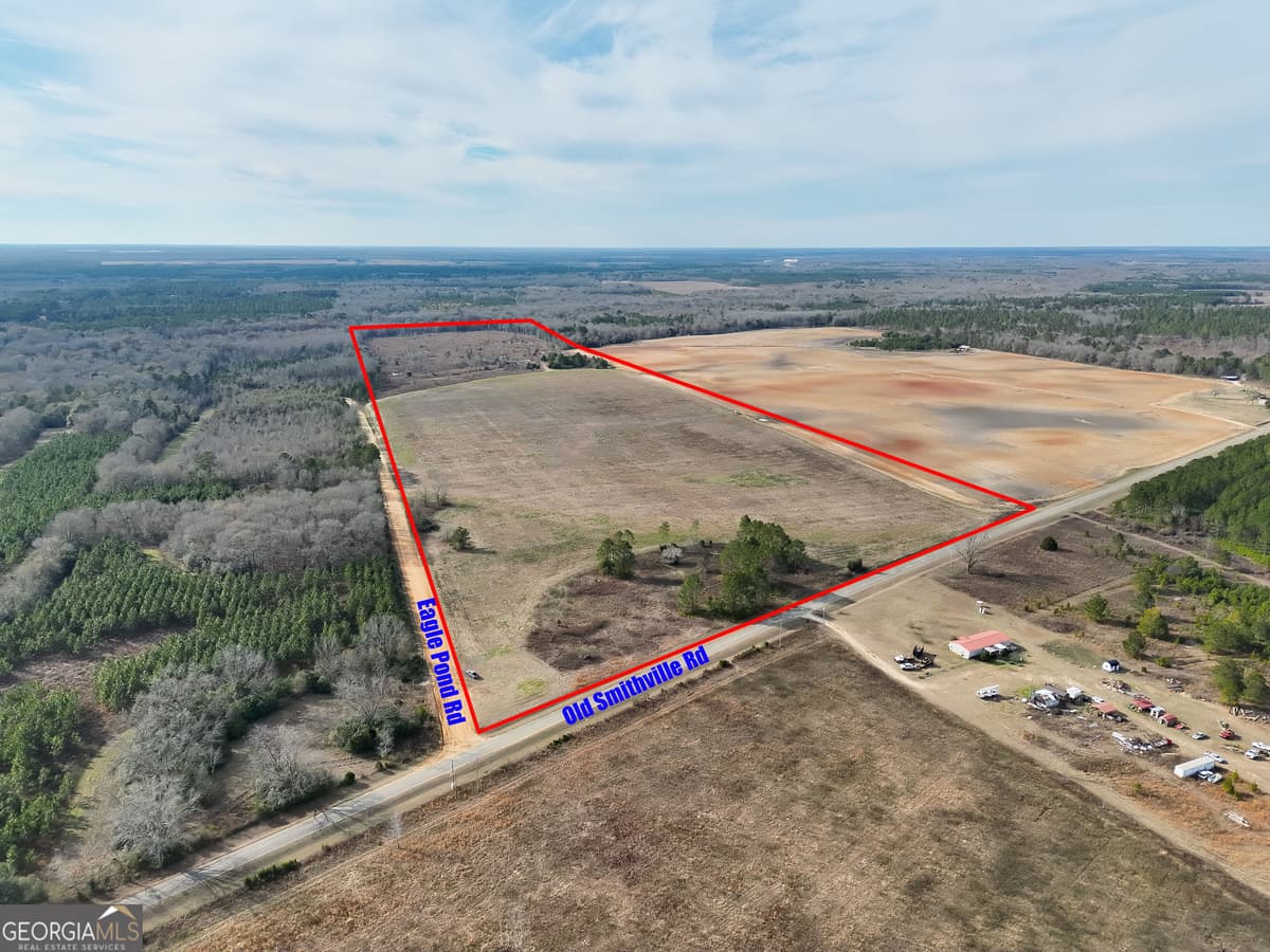 Muckaloochee Estates · 0 Eagle Pond / Old Smithville Road, Leesburg GA 31763