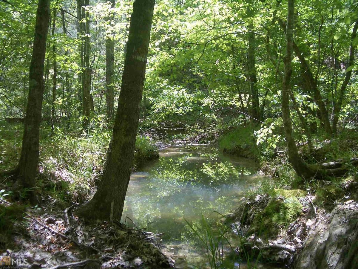 0 NE Nicklesville Road # 9637, Ranger GA 30734