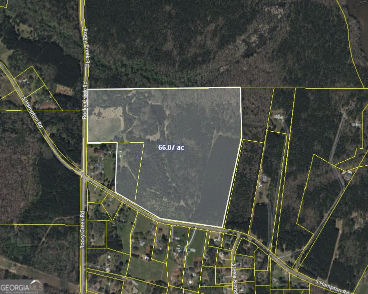 1007 S Hampton Road, Hampton GA 30228