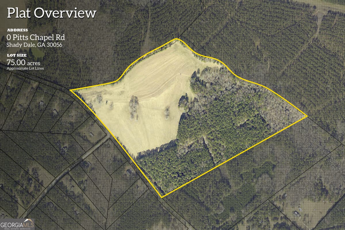 LAND · 0 Pitts Chapel Road, Monticello GA 31064