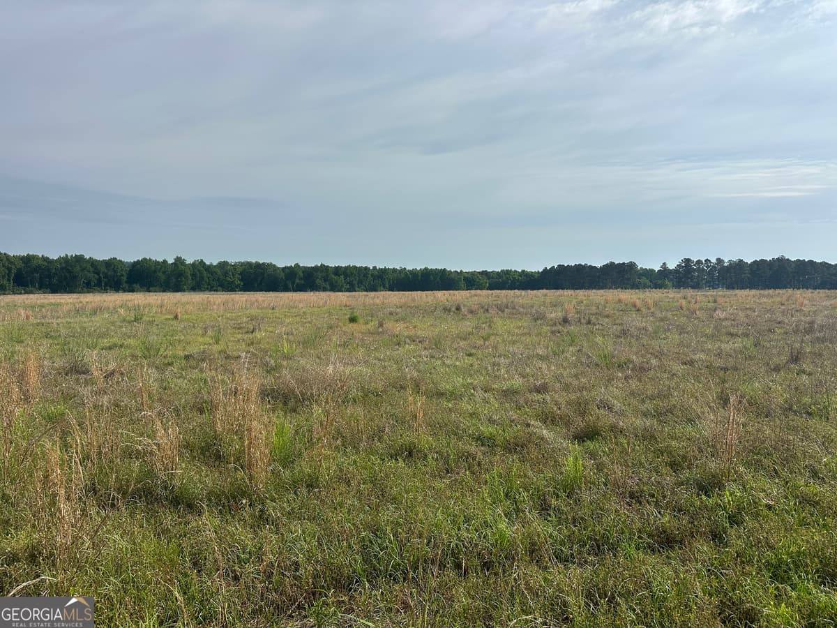 1309 Jarrell Pond Road, Sylvania GA 30467