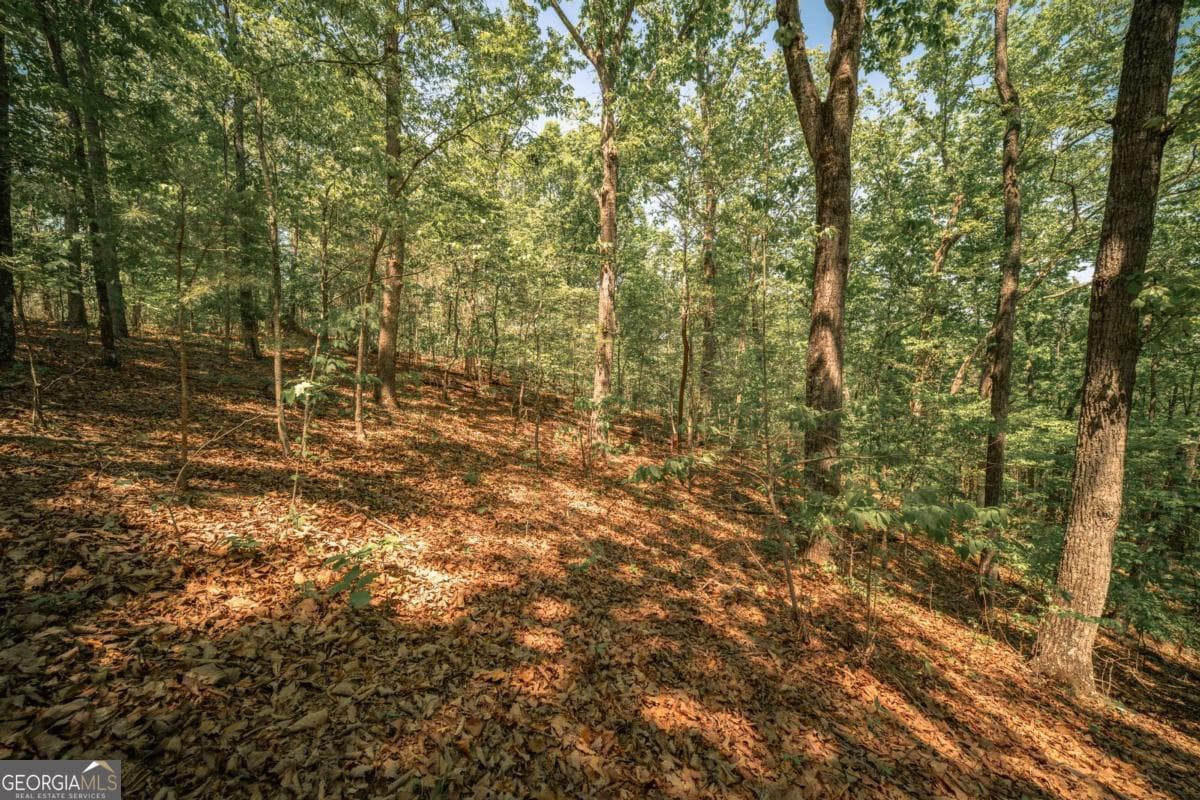 0 Hancock Mountain Trail, Waleska GA 30183