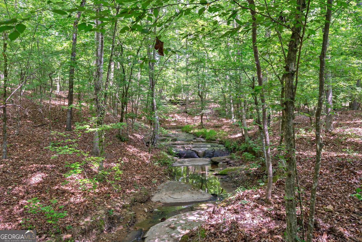 0 Gene Smith Road, Carlton GA 30627
