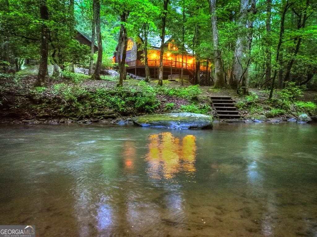 Goose Island Hideaway · 300 River Road, Cherry Log GA 30522