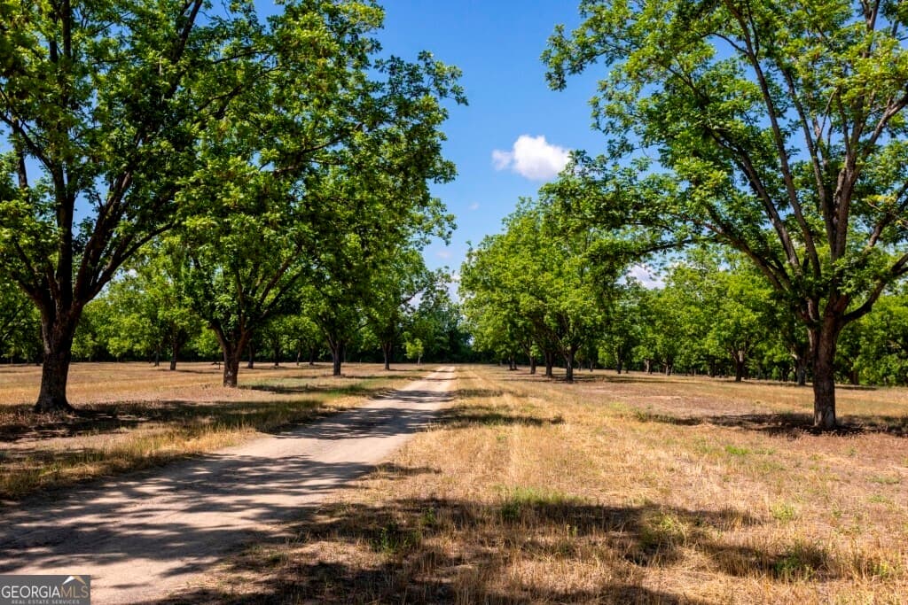 16505 Union Road, Metter GA 30439