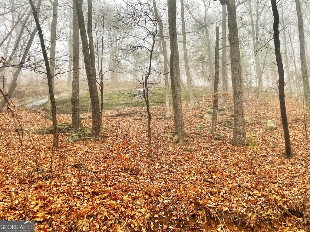 0 Fox Mountain Road, Hiddenite NC 28636