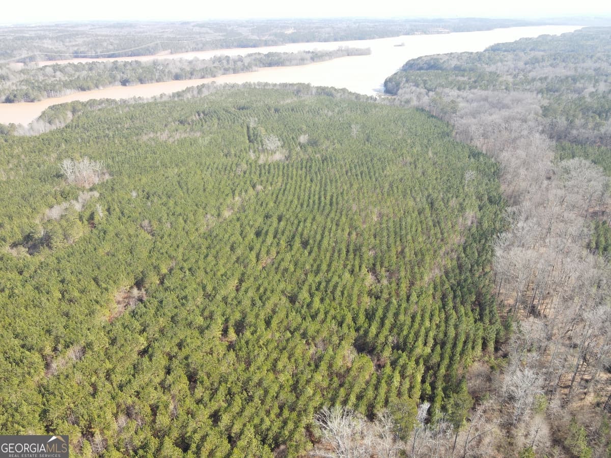0 Rocky Creek Road, Hampton GA 30228