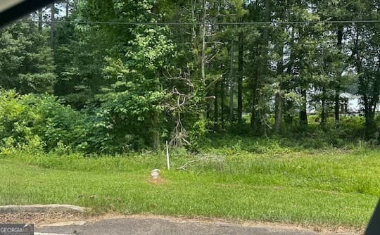 0 Hwy 54, Sharpsburg GA 30277