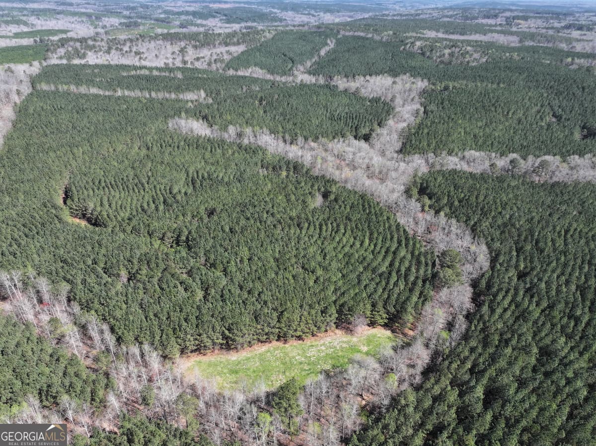 257 +/- Acres on Ridgeway Road, Franklin GA 30217