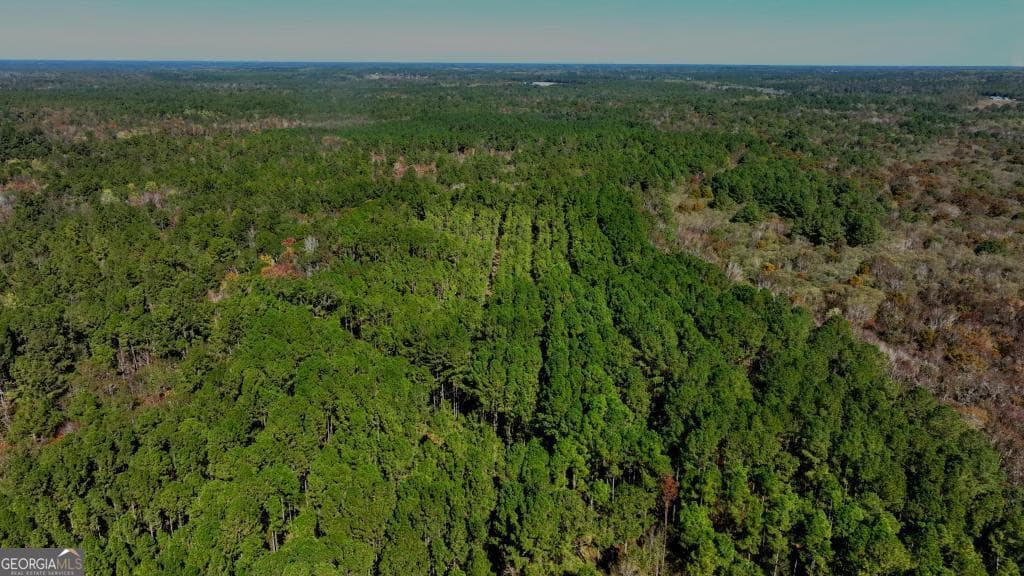 0 Anderson Road # 1, Statesboro GA 30458