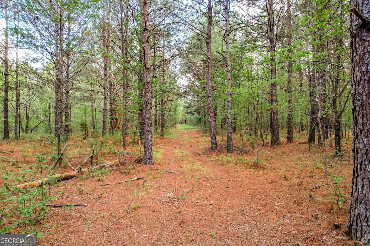 Appling · 6995 Cobbham Road, Appling GA 30802