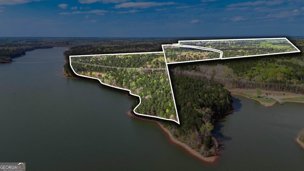 0 Hunter Road, Locust Grove GA 30248