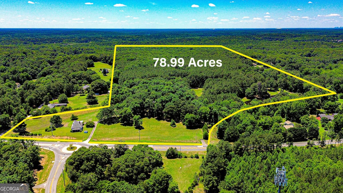 1799 AND 1875 Highway 138 E, Stockbridge GA 30281