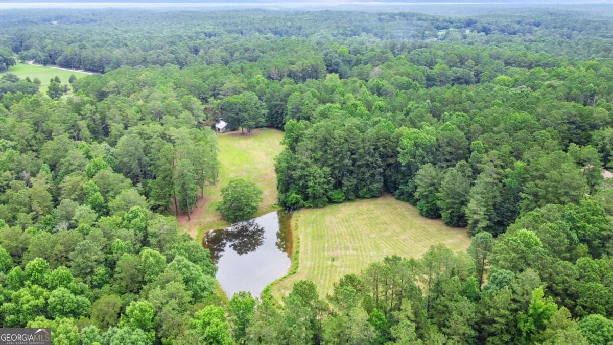0 Hutcheson Ferry Road, Chattahoochee Hills GA 30268