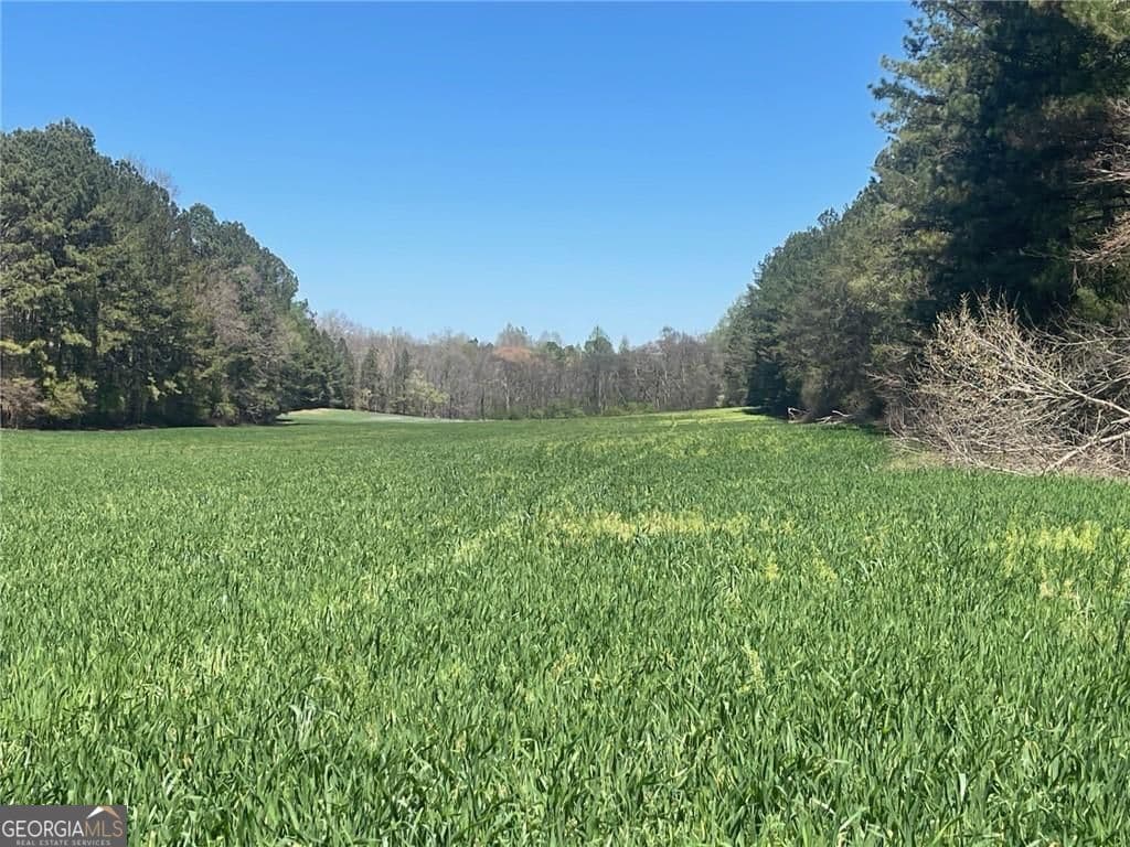 0-A Cleveland Highway, Cohutta GA 30710