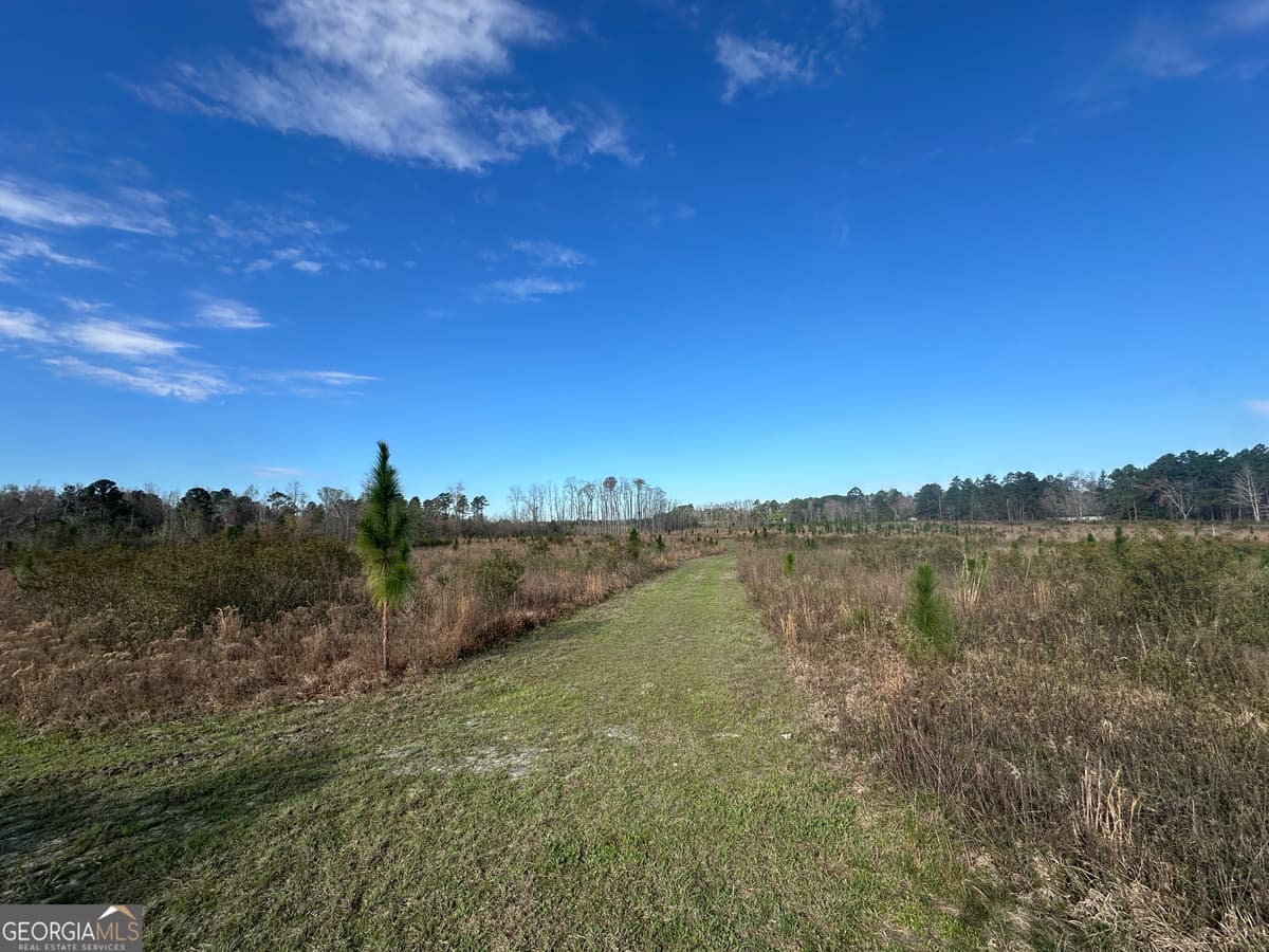 1334 Shady Lane, Sylvania GA 30467