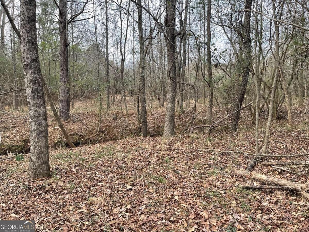 884 Jackson Trail Road, Winder GA 30680