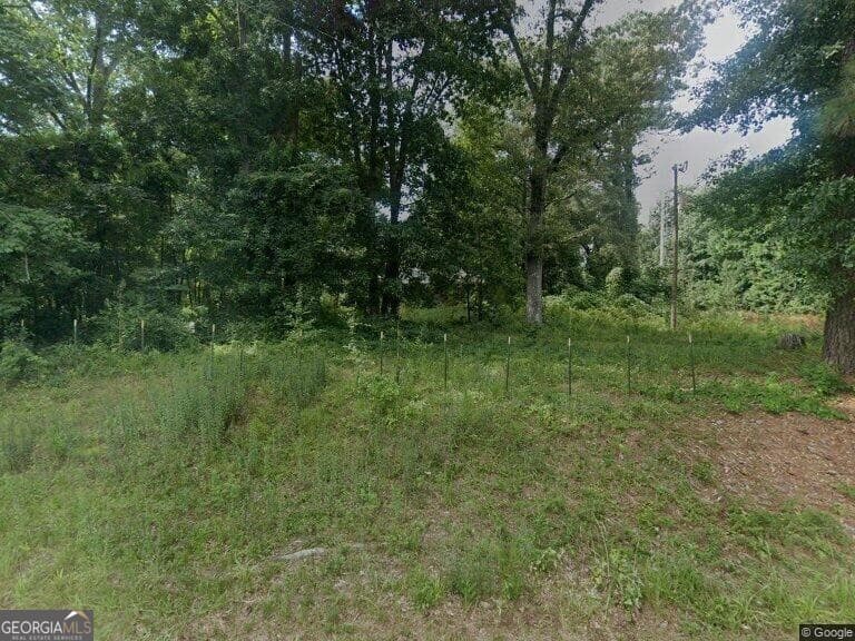 393 & 381 Old Conyers Road, Stockbridge GA 30281