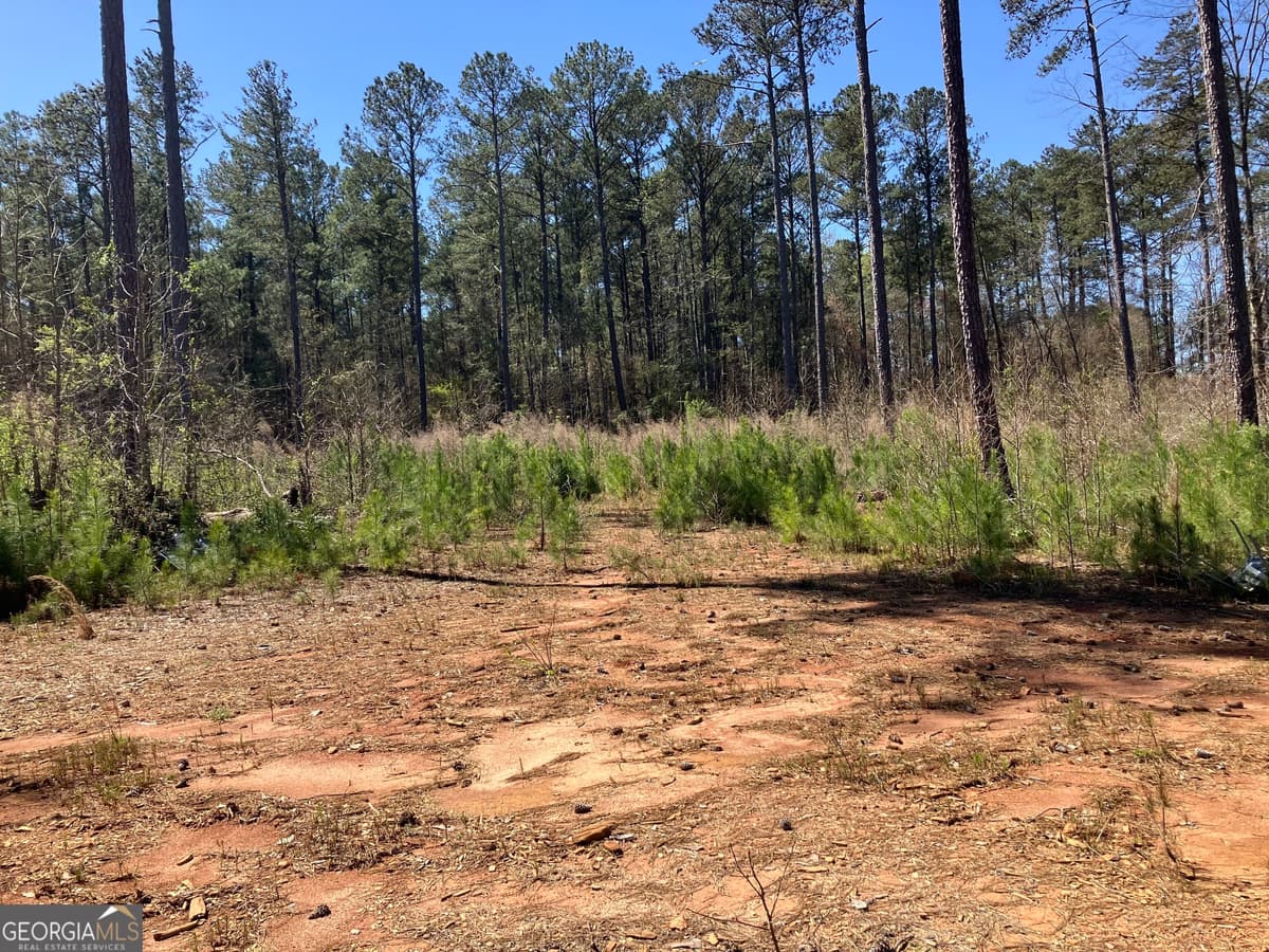 2920 Airline Road, Mcdonough GA 30252