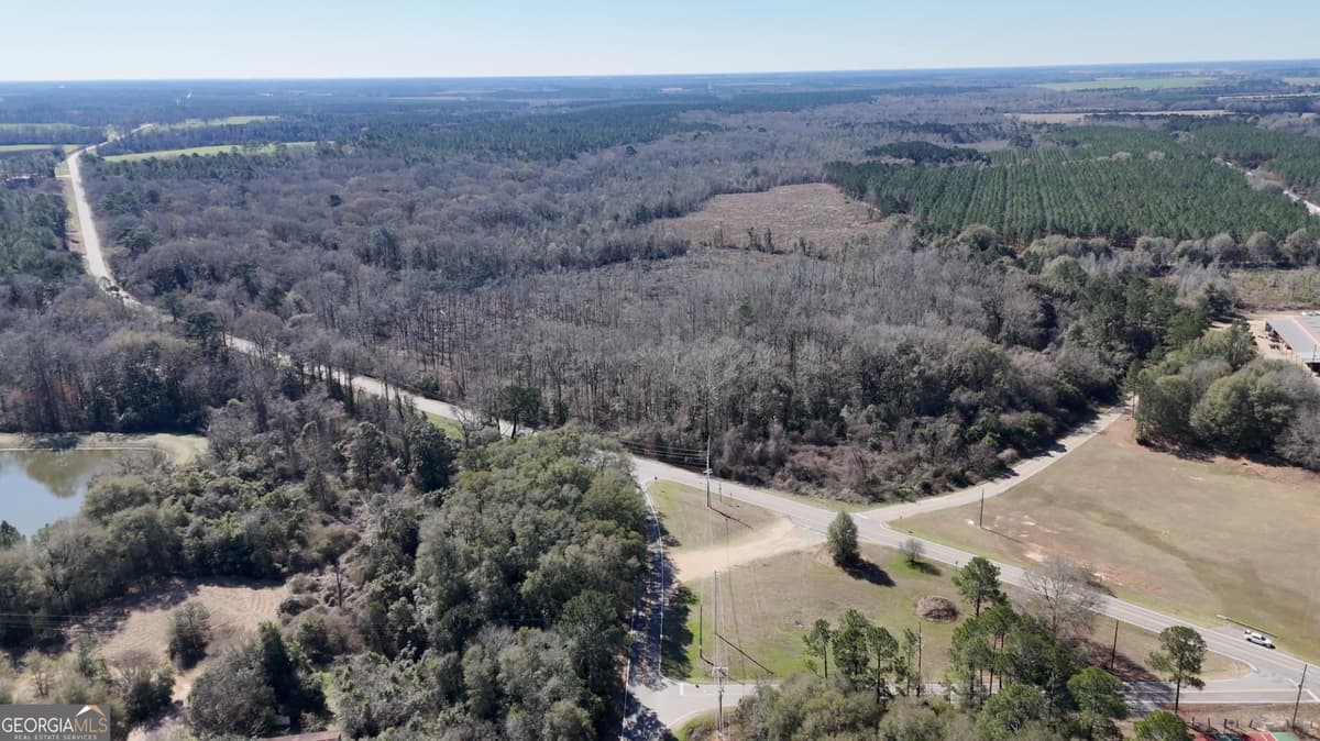 0 Highway 90, Byromville GA 31007