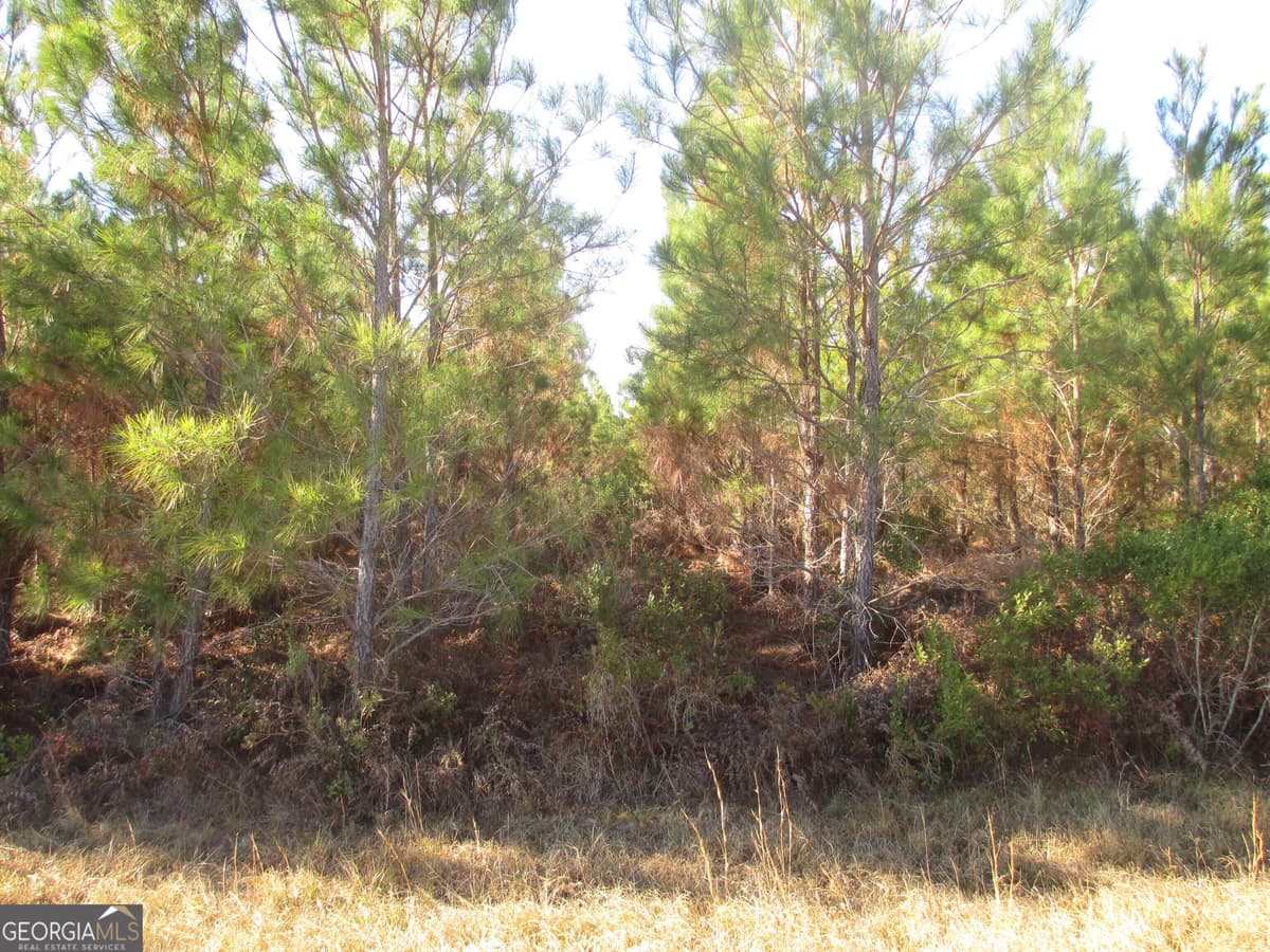 0088 003A Pine Level Church Road, Hazlehurst GA 31539