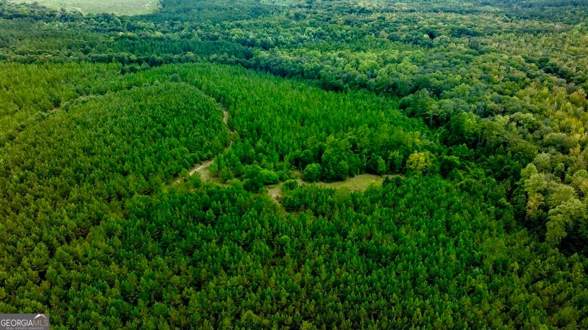 0 Les Smith Road, Ellaville GA 31806