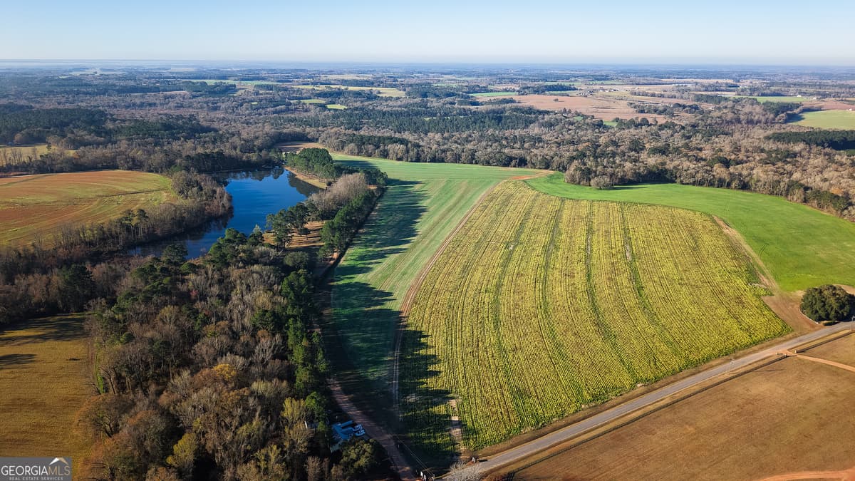 Large Acre Tract (115) · 0 Demott Road, Hartsfield GA 31756