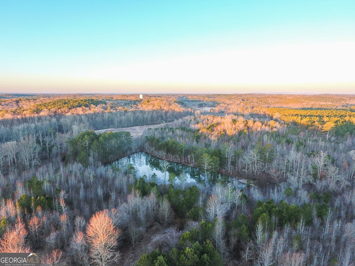 0 Wildcat Road, Buchanan GA 30113