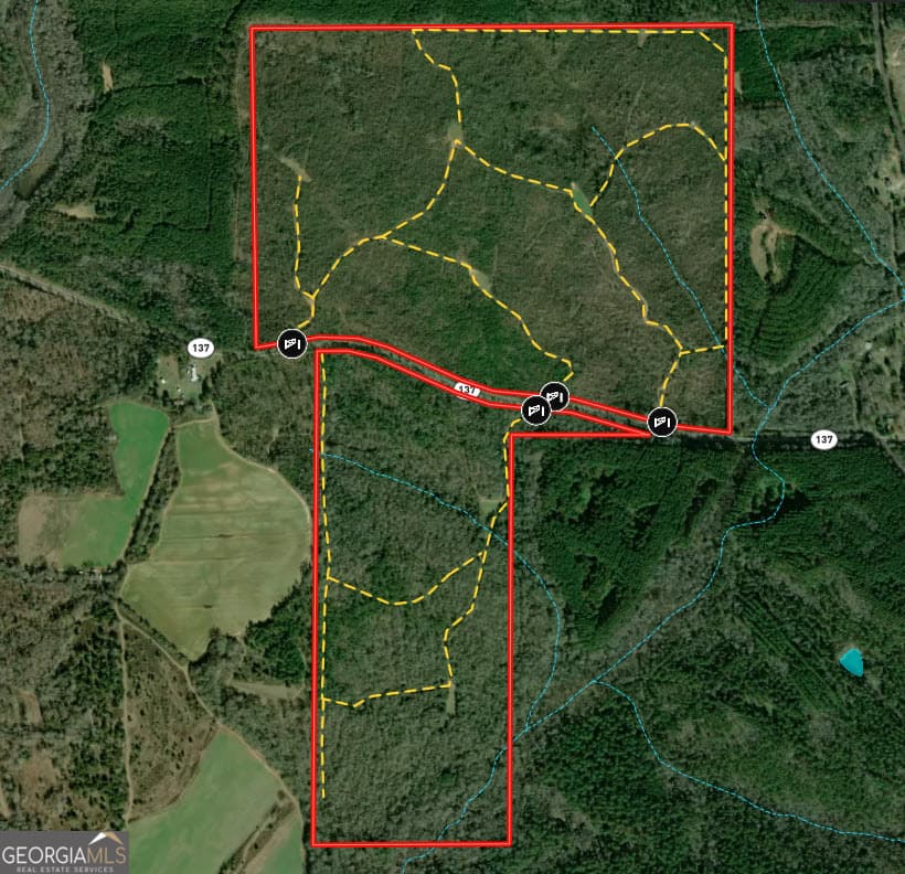 337+/- AC Hwy 137, Buena Vista GA 31803