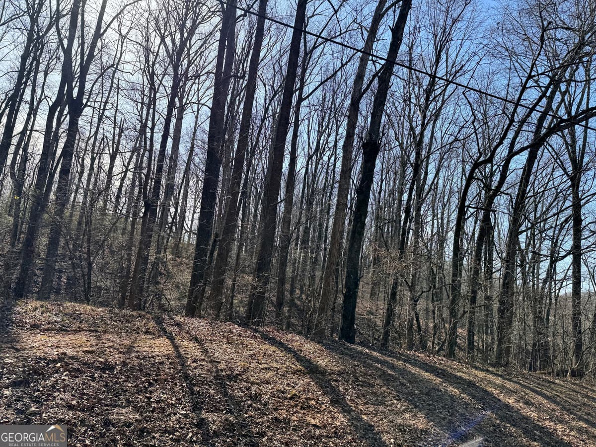 0 Wall Road, Winder GA 30680