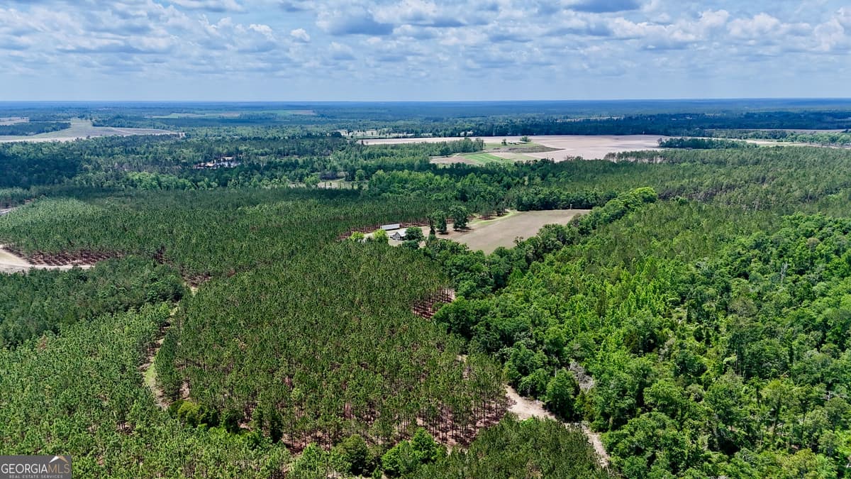 0 Neily Wagon Road, Mcrae-Helena GA 31055