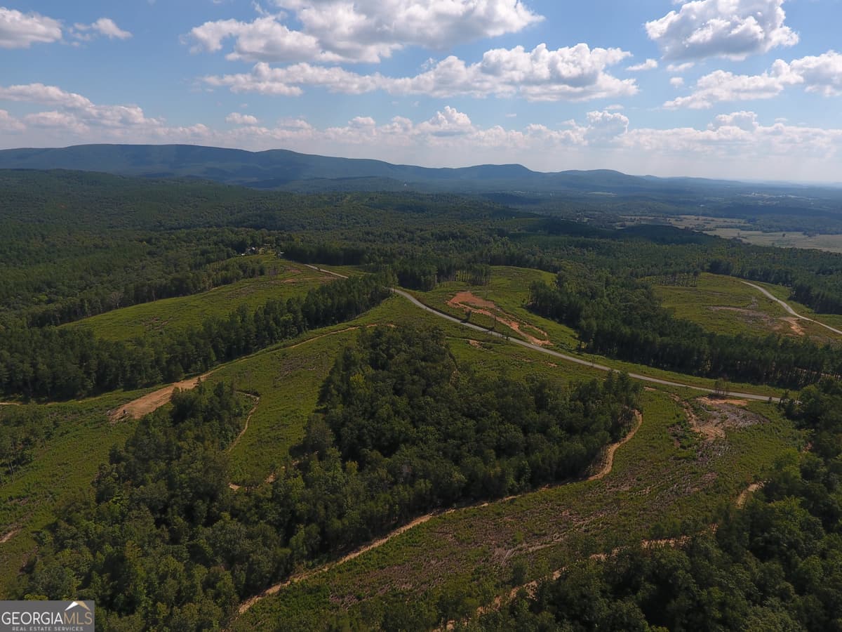 0 Johnson Mountain Road # L, Rydal GA 30171