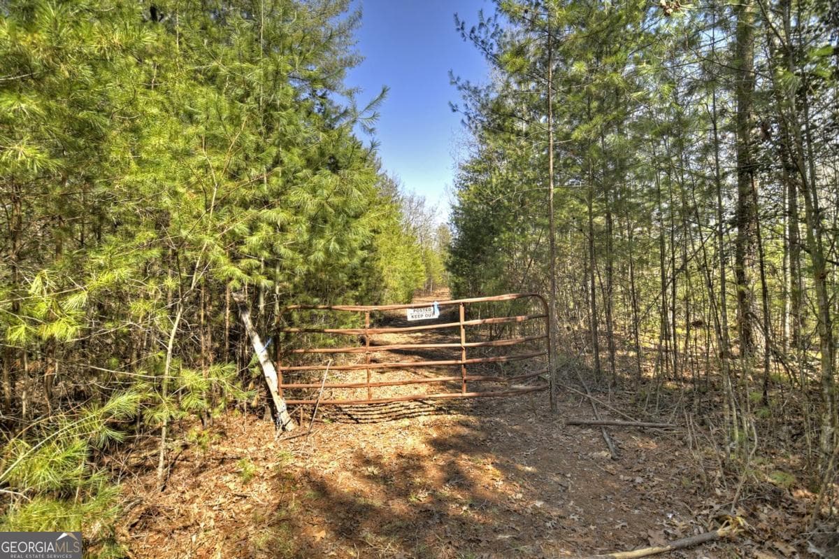 48.4AC Lofty Heights, Mineral Bluff GA 30559