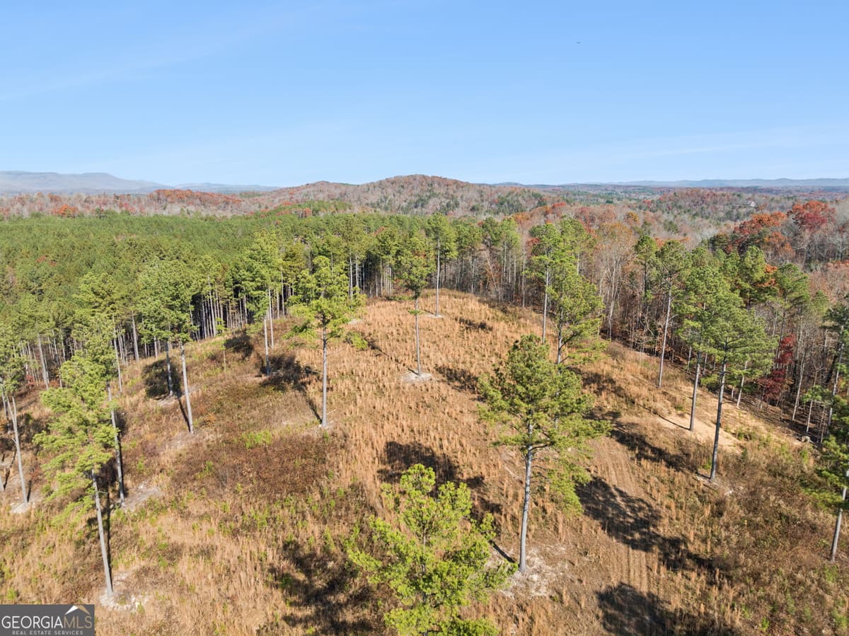 0 Sand Pit Road, Summerville GA 30747