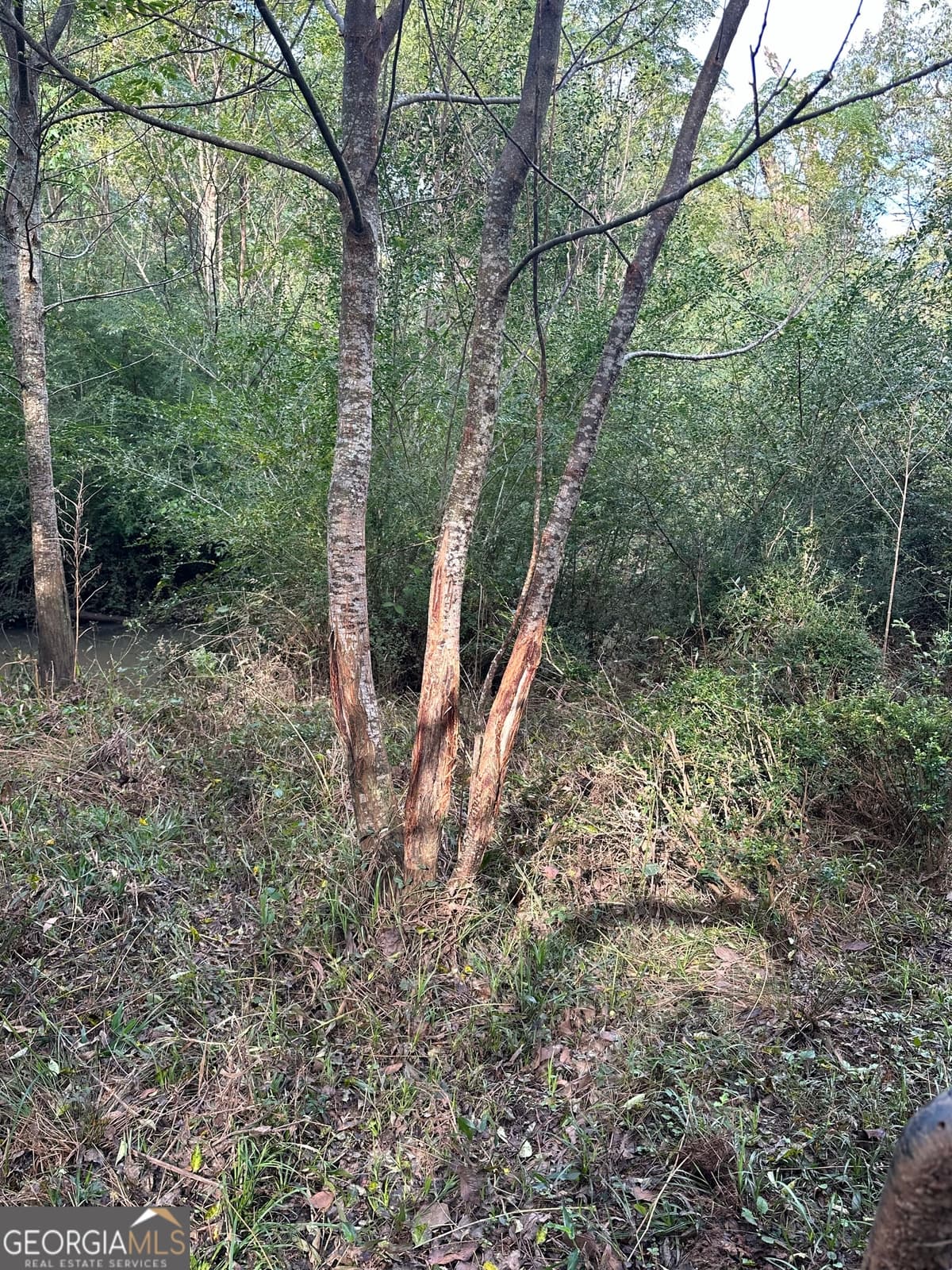 0 seven islands Road, Madison GA 30650